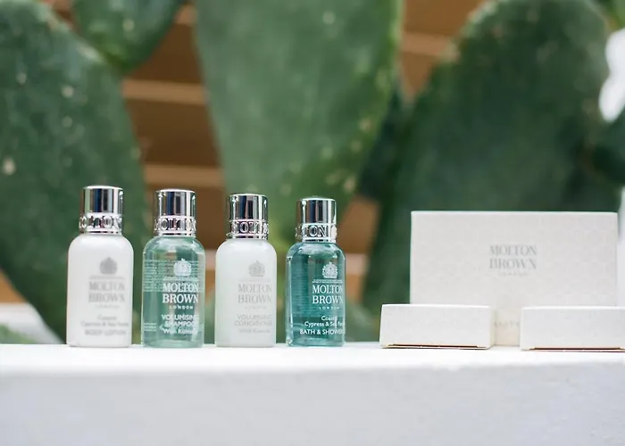 Apartment Aba ηospitalite, The Deluxe Suite, *